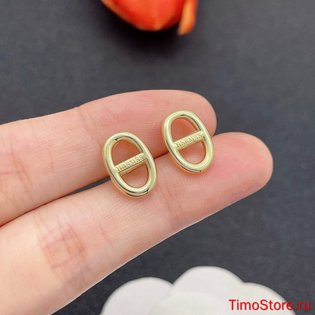 hermes earrings 5 - 1