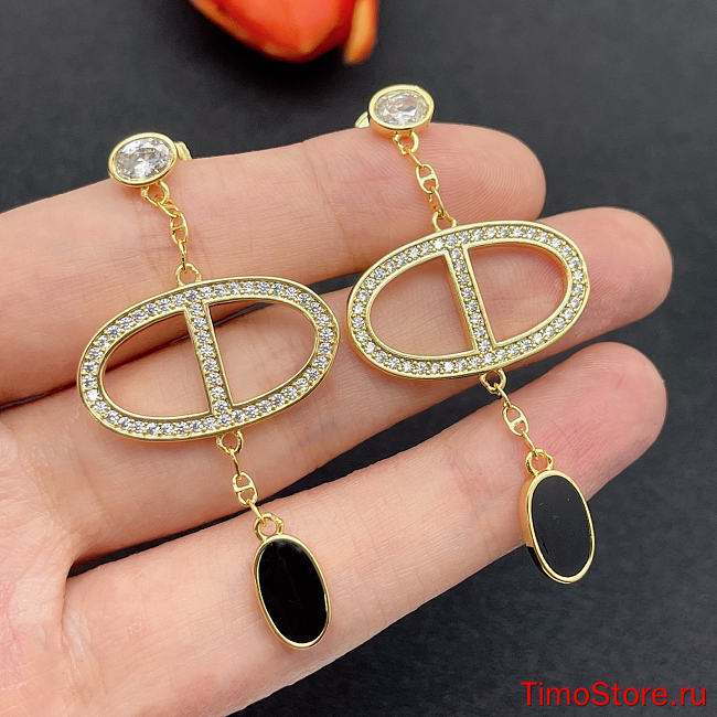 hermes earrings 2 - 1