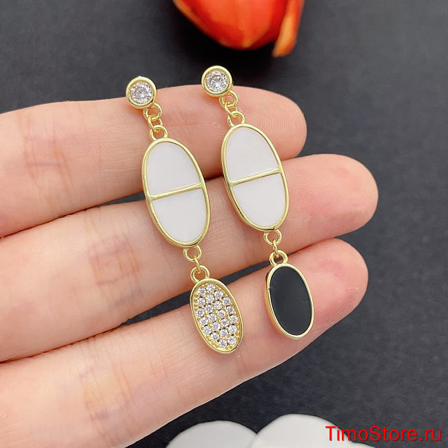 hermes earrings 6 - 1