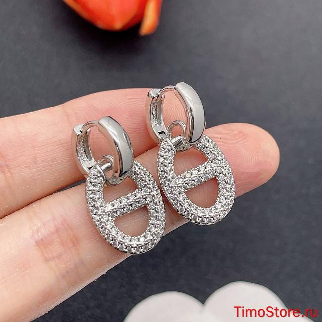 hermes earrings 7 - 1