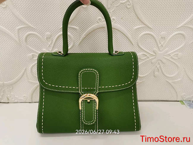 Delvaux Brillant Togo Bag In Green 28x13.5x22.5cm - 1