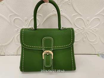 Delvaux Brillant Togo Bag In Green 28x13.5x22.5cm