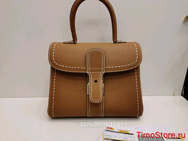 Delvaux Brillant MM Tan AA0555 28x14x21cm - 1