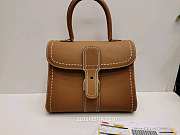 Delvaux Brillant MM Tan AA0555 28x14x21cm - 1
