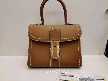 Delvaux Brillant MM Tan AA0555 28x14x21cm